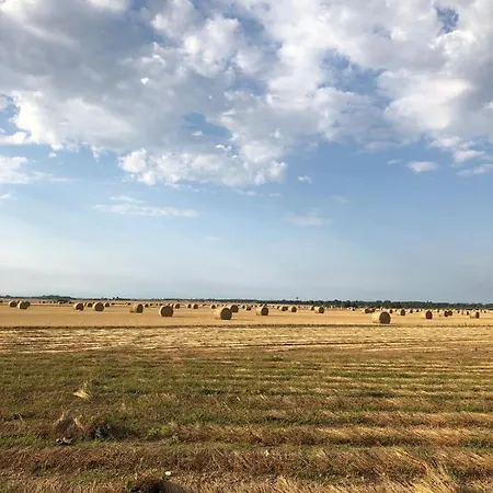 Les Buissonnets De Tierceville 別荘