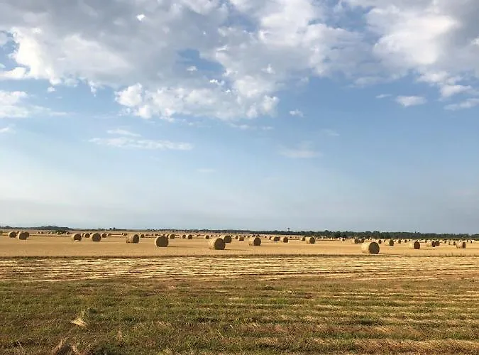 Les Buissonnets De Tierceville Holiday home